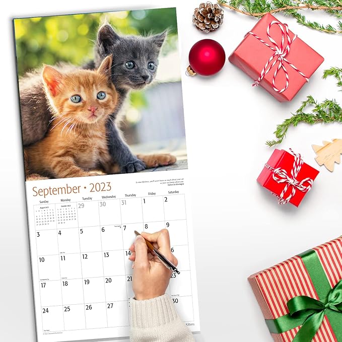 RED EMBER Kittens! 2023 Hangable Monthly Wall Calendar | 12" x 24" Open | Thick & Sturdy Paper | Giftable | Kids Cute Kitten Cat | Cuteness Overload