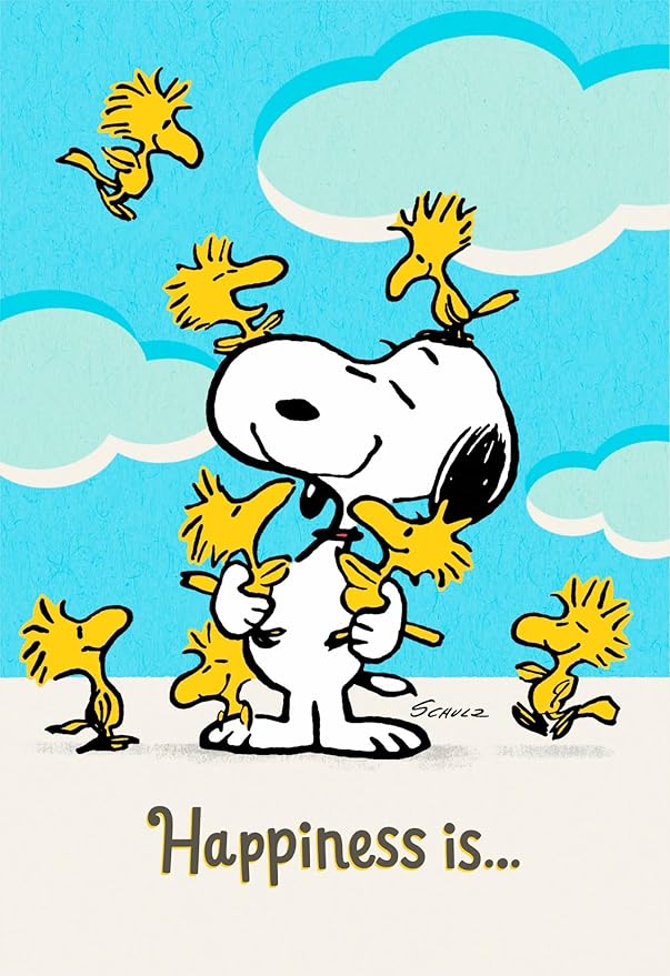 DaySpring - Peanuts - Thinking of You - 4 Design Assortment With Scripture - 12 Boxed Cards & Envelopes