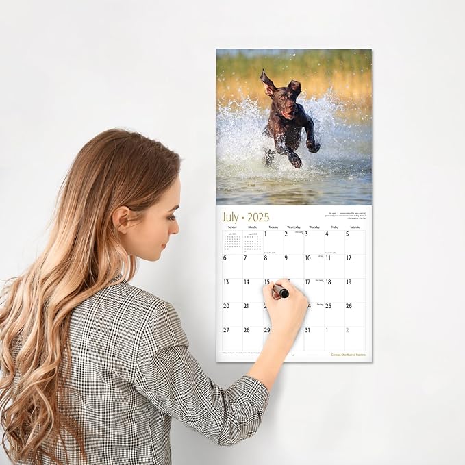 RED EMBER German Shorthaired Pointers 2025 Wall Calendar 12 Month | 12" x 24" Open | Thick & Sturdy Paper | Giftable | Calendar 2025