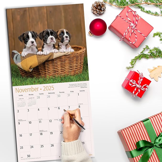 RED EMBER Boxer Puppies 2025 Wall Calendar 12 Month | 12" x 24" Open | Thick & Sturdy Paper | Giftable | Calendar 2025