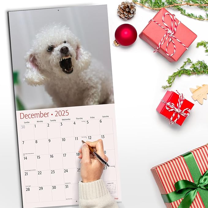 RED EMBER Angry Dogs 2025 Wall Calendar 12 Month | 12" x 24" Open | Thick & Sturdy Paper | Giftable | Calendar 2025