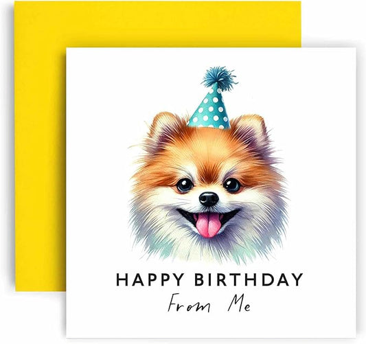 Huxters Birthday Card from the Dog – Pomeranian - Happy Birthday to Dog Mum and Dog Dad – Birthday Card from the Dog to Friends Family First Birthday (Pomeranian)