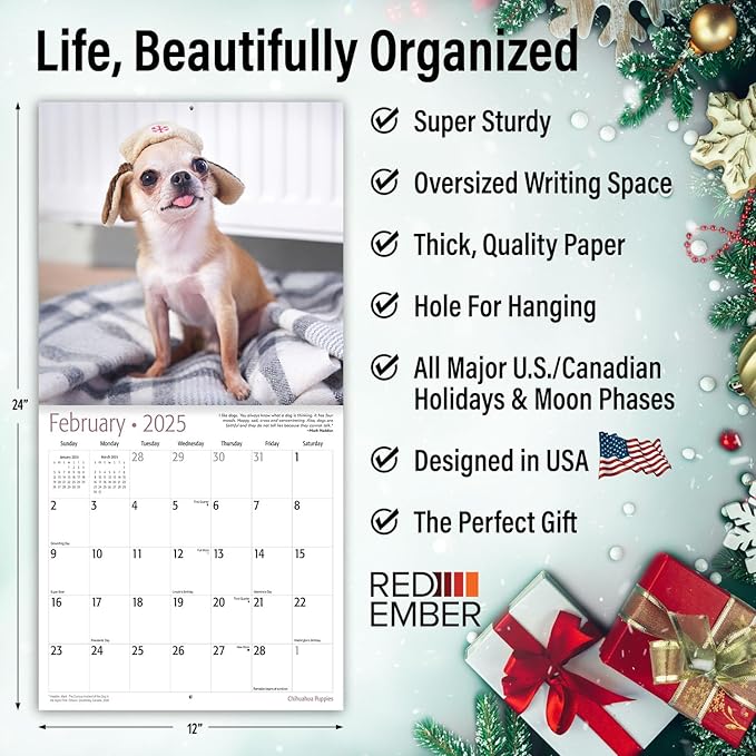 RED EMBER Chihuahua Puppies 2025 Wall Calendar 12 Month | 12" x 24" Open | Thick & Sturdy Paper | Giftable | Calendar 2025
