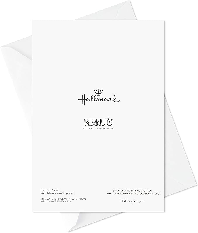 Hallmark Peanuts Birthday Cards Assortment, Snoopy Designs (12 Cards with Envelopes)