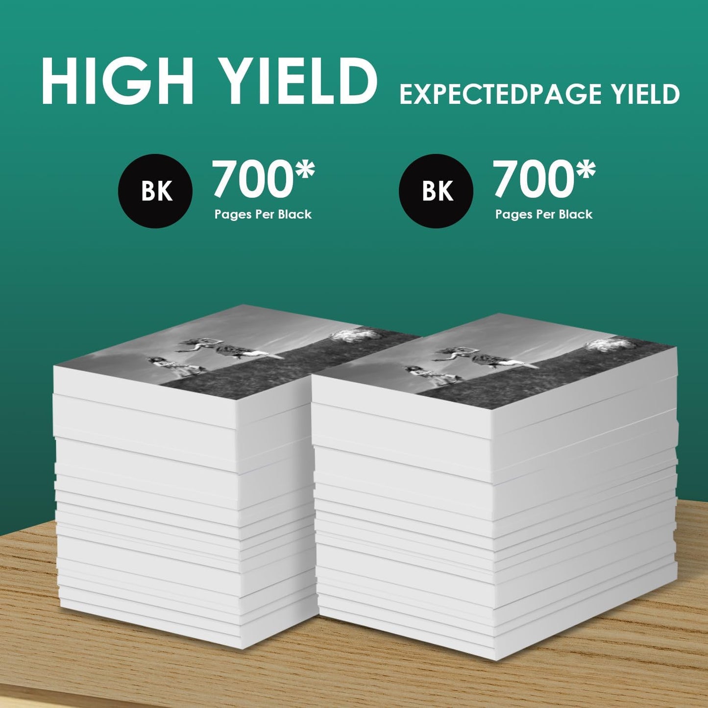 667XL 667 XL 667 Ink Cartridges Replacement for hp 667 Ink cartridges Black and Color Work for Deskjet Ink Advantage 1275 2375 2775, Deskjet Ink Advantage Plus 6075 6475 6476 (2 Black)