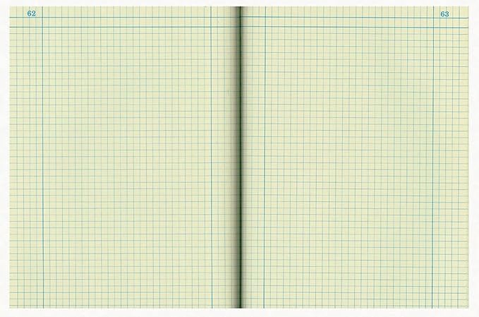 National Brand Computation Notebook, 4 X 4 Quad, Brown, Green Paper, 11.75 x 9.25 Inches, 75 Sheets (43648)