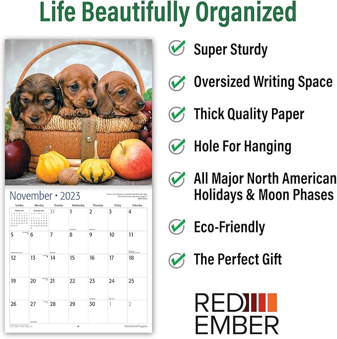 RED EMBER Dachshunds Puppies 2023 Hangable Monthly Wall Calendar | 12" x 24" Open | Thick & Sturdy Paper | Giftable | Cute Dog Puppy | Pretty Puppies