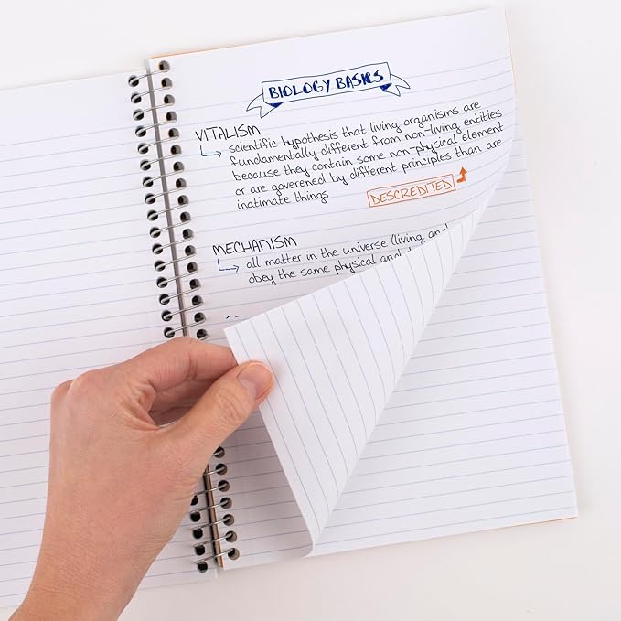 Five Star Spiral Notebook, 2 Subject, College Ruled, 9 1/2" x 6" 80 Sheets, Amethyst Purple (840029CF1-ECM)