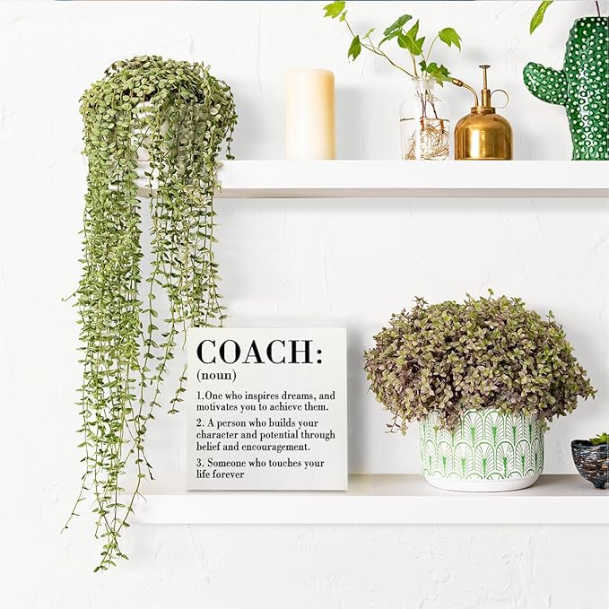 Inspirational Coach Noun Coach Gifts Desk Decor Wooden Box Sign Rustic White Wood Block Plaque Box Sign for Coach Mentor Trainer Tutor Home Office Desk Shelf Table Decoration Coach Definition