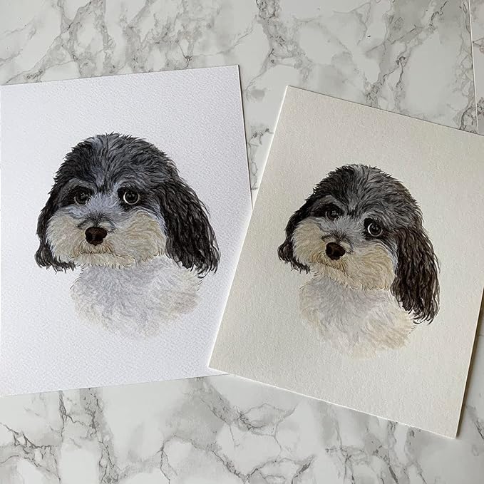 5-Star Officejet Pro 8015e, 8020 Printer Compatible with 910 Ink Cartridges. Compatible for Officejet Pro 8015e / 8035e / 8020/8035 Series. 4 Pack (Black Cyan Magenta Yellow)