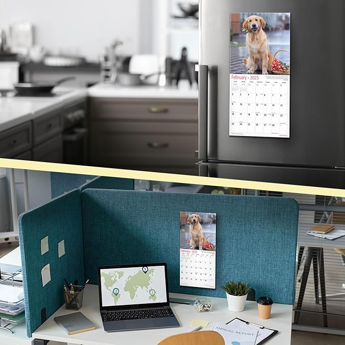 MICASA Golden Retrievers Mini 2025 Wall Calendar 12 Month | 7" x 14" Open | Thick & Sturdy Paper | Giftable | Calendar 2025