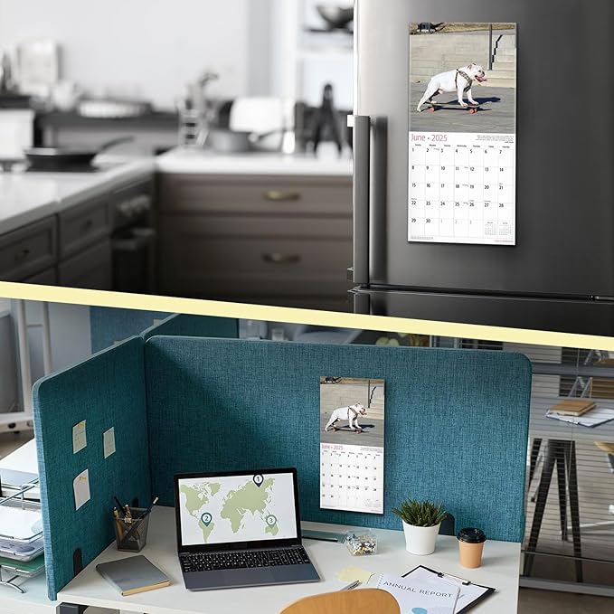 RED EMBER Dogs on Skateboards Mini 2025 Wall Calendar 12 Month | 7" x 14" Open | Thick & Sturdy Paper | Giftable | Calendar 2025