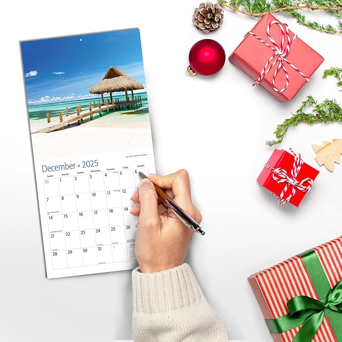 RED EMBER Untamed & Beautiful Beaches Mini 2025 Wall Calendar 12 Month | 7" x 14" Open | Thick & Sturdy Paper | Giftable | Calendar 2025