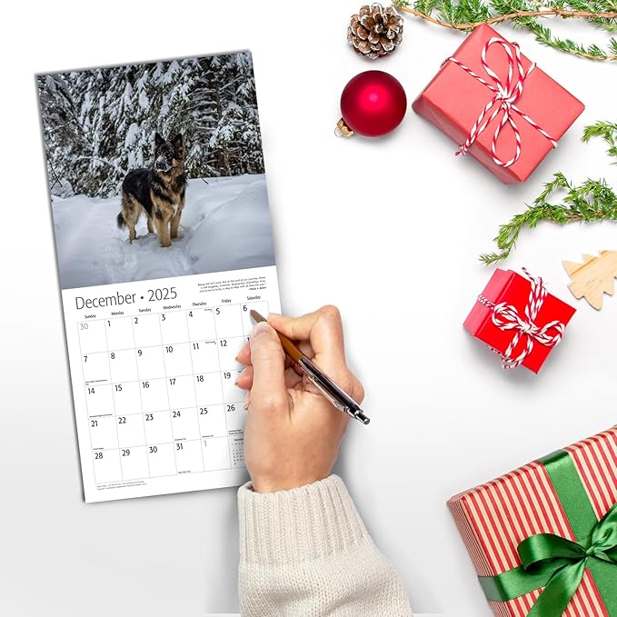 RED EMBER German Shepherds Mini 2025 Wall Calendar 12 Month | 7" x 14" Open | Thick & Sturdy Paper | Giftable | Calendar 2025