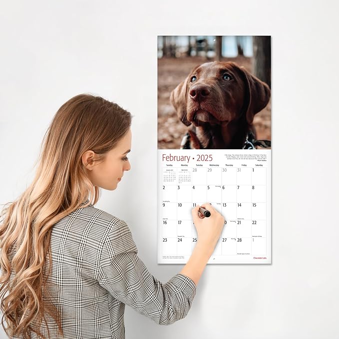 RED EMBER Chocolate Labs 2025 Wall Calendar 12 Month | 12" x 24" Open | Thick & Sturdy Paper | Giftable | Calendar 2025
