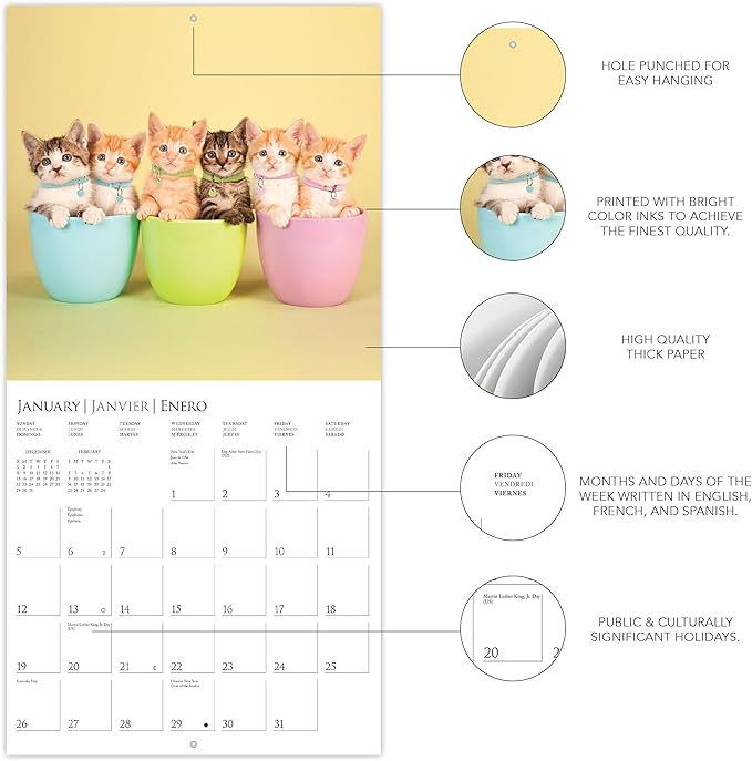 Graphique 2025 Cute Kittens Wall Calendar | 12” x 12” | Thick Paper | Home & Office Organizer | Large Monthly Grid | 3 Languages & Marked Holidays | 4 Month Preview Page for 2026