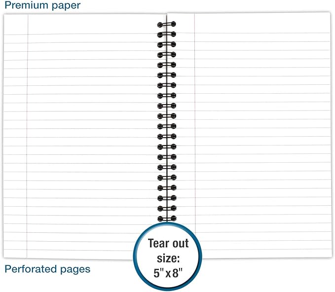 Cambridge Business Notebook, Legal Ruled, 5" x 8", Small, Wirebound, 80 Sheets, Black (06074) (Pack of 2)