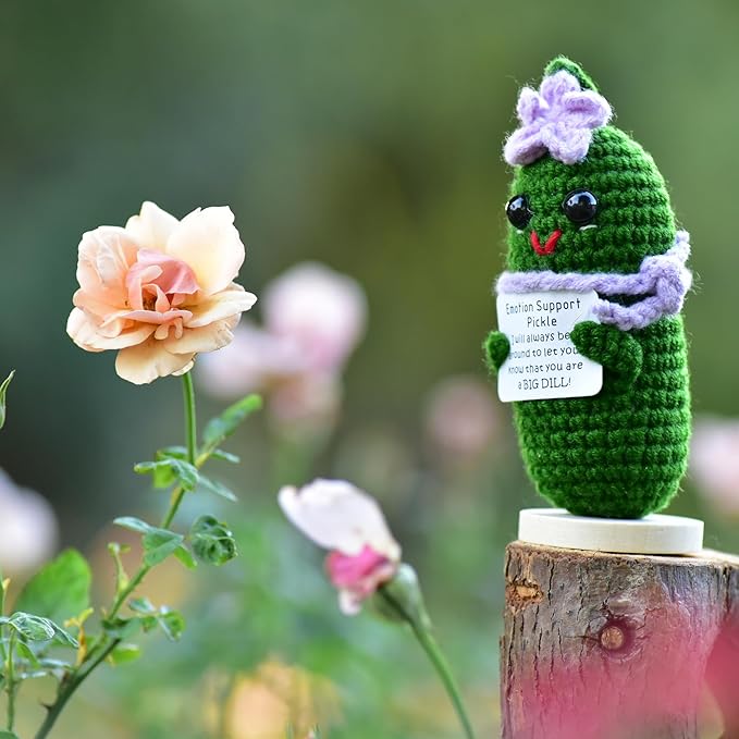 Funny Crochet Pickles 1 Pcs with Affirmations Cards for Inspirational Novelty Good Luck Gifts and Party Decorations(KK-CKD04-ppfw)