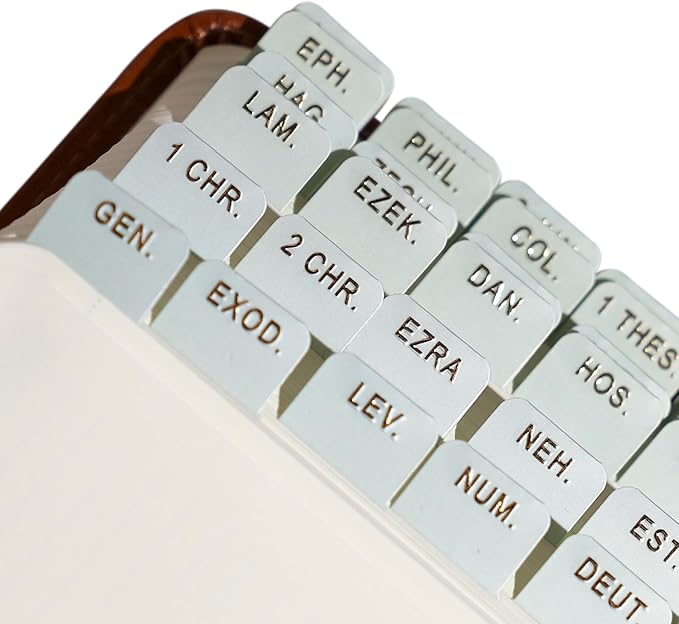 Idyllic Grace - Mini Bible Tabs, Embossed Gold Foil, Journaling, Small Bibles, Study Tool, 90 Tabs, Old and New Testament, Christian, Catholic, Apocrypha, Index Tabs, Matte Laminated - Olive Branch