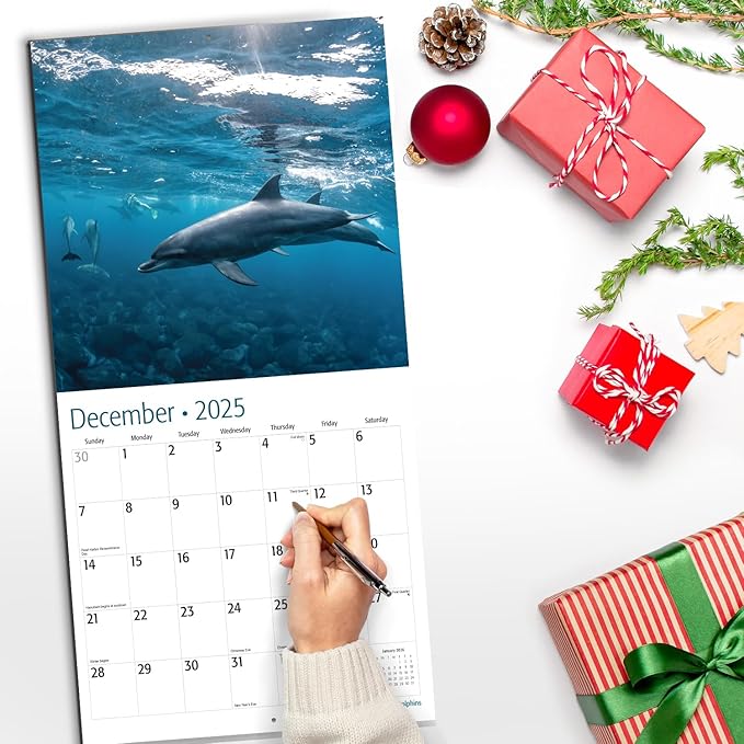 RED EMBER Dolphins 2025 Wall Calendar 12 Month | 12" x 24" Open | Thick & Sturdy Paper | Giftable | Calendar 2025