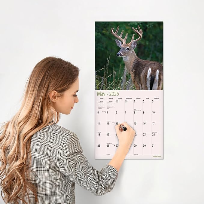 RED EMBER Select - Monster Bucks 2025 Wall Calendar 12 Month | 12" x 24" Open | Thick & Sturdy Paper | Giftable | Calendar 2025