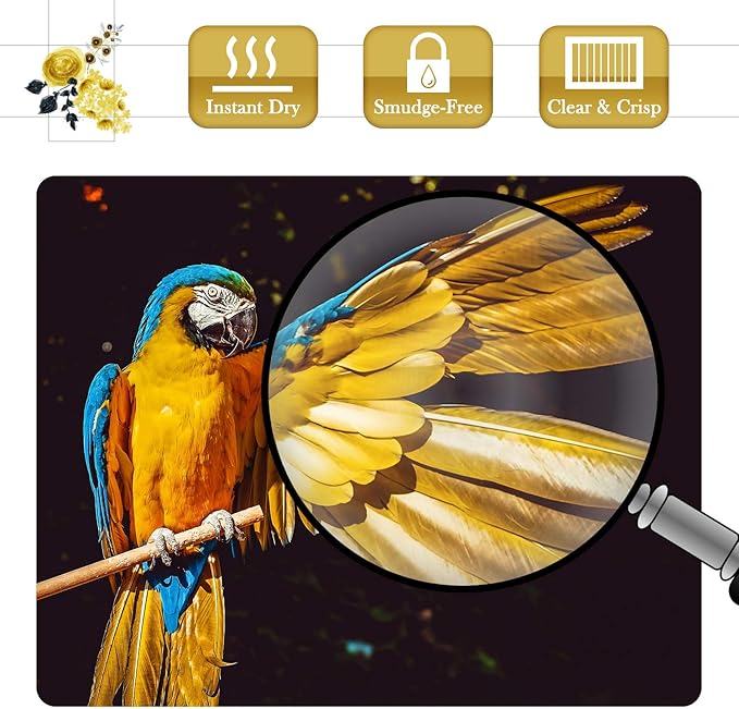 A-SUB Premium Photo Paper Luster 11x17 Inch 66lb for Inkjet Printers 50 Sheets, Single Sided