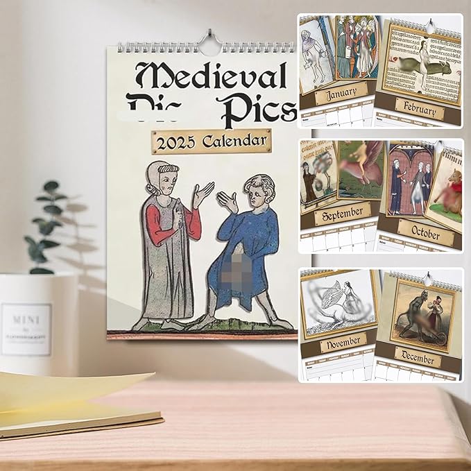 Medieval Pics 2025 Calendar, Medieval Pics Calendar, Funny Medieval Pics Calendar With Illustrations, Prank Medieval Wall Calendar, For History Enthusiasts Gift