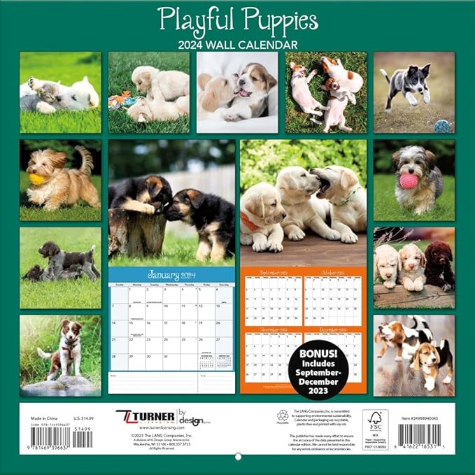 TURNER PHOTOGRAPHIC Playful Puppies 12X12 Photo Wall Calendar (24998940045)