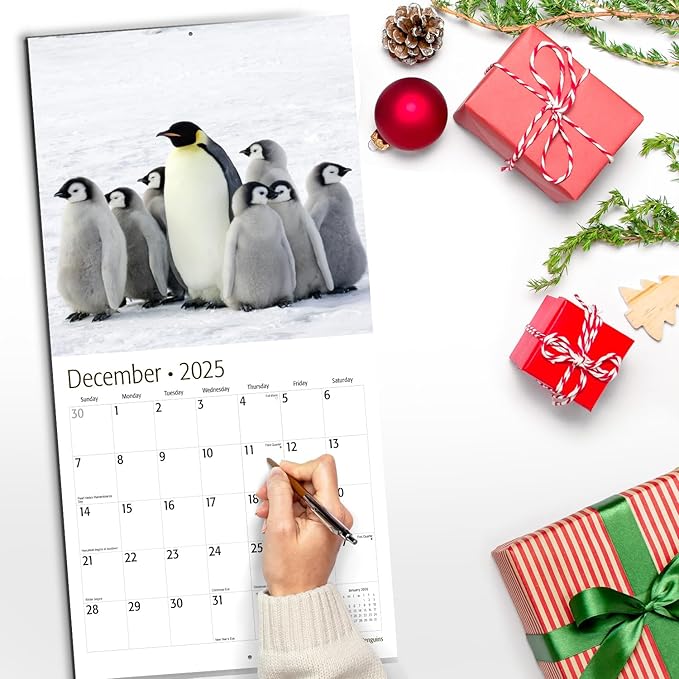 RED EMBER Penguins 2025 Wall Calendar 12 Month | 12" x 24" Open | Thick & Sturdy Paper | Giftable | Calendar 2025