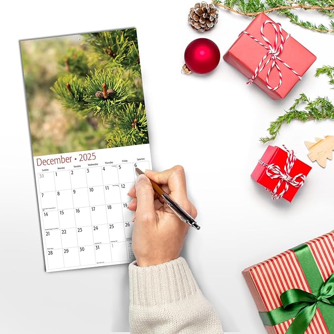 MICASA D'ck Pics in Nature Mini 2025 Wall Calendar 12 Month Funny Secret Dirty Santa White Elephant Yankee Swap Gag Gift | 7" x 14" Open | Thick & Sturdy Paper | Giftable | Calendar 2025