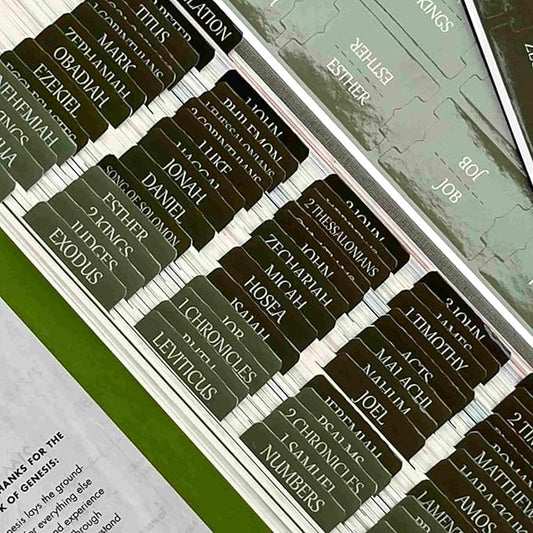 Thinkor Reposition Bible Tabs, Large Print Lanimated Stickers, Easy to Read and Apply Bible Tabs for Women and Man (Four Green)