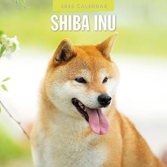 Red Robin 2025 Shiba Inu Monthly Wall Calendar | 12" x 24" Open | Premium Thick & Sturdy Paper | Hangable 12 Month Calendar | Plastic Free | 4 Month Transition Page for 2024