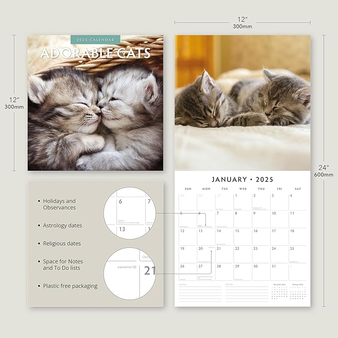 Adorable Cats -2025 Square Wall Calendar - by Red Robin Publishing