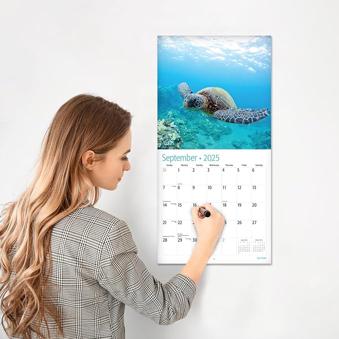 RED EMBER Sea Turtles 2025 Wall Calendar 12 Month | 12" x 24" Open | Thick & Sturdy Paper | Giftable | Calendar 2025