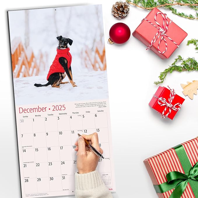 RED EMBER Mutts 2025 Wall Calendar 12 Month | 12" x 24" Open | Thick & Sturdy Paper | Giftable | Calendar 2025