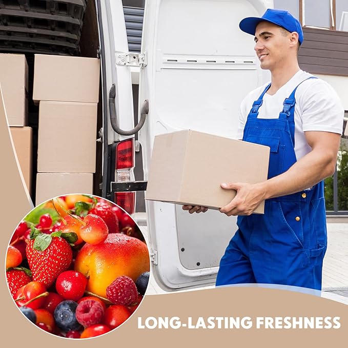 Nuanchu 10 Pieces Double Insulated Mailing Boxes with Aluminum Foil Insulated Bag Liner Cooler Small Mailing Box for Mailing Frozen Food Cold Mailing Boxes for Mailing Packing Moving, 9" x 5" x 6"