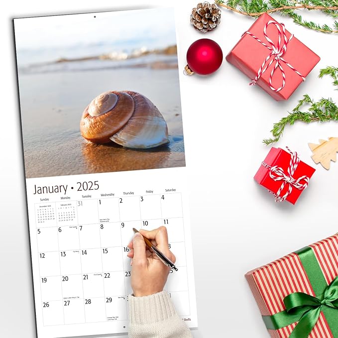 RED EMBER Sand and Shells 2025 Wall Calendar 12 Month | 12" x 24" Open | Thick & Sturdy Paper | Giftable | Calendar 2025