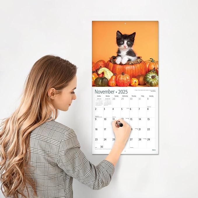 RED EMBER Kittens 2025 Wall Calendar 12 Month | 12" x 24" Open | Thick & Sturdy Paper | Giftable | Calendar 2025