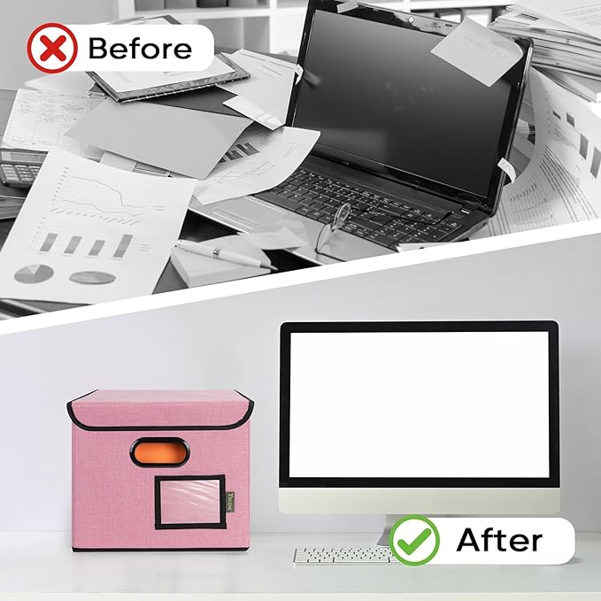 BALEINE File Organizer Box with Lid, Collapsible File Folder Organizer with Plastic Slide, Hanging File Folder Box for Office Document Storage (1 Pack, Pink)