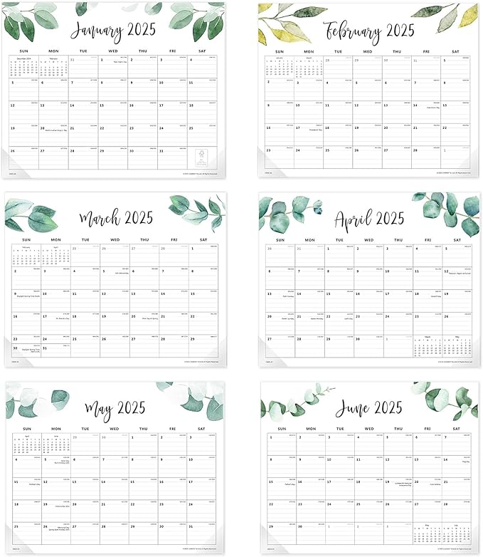 Cabbrix Magnetic Desk Calendar 2024-2025, Aesthetic Refrigerator Calendar 15 x 12 Inch Runs From Now to Dec 2025, Desk Blotter Calendar for Home School and Office(Green Leaf)