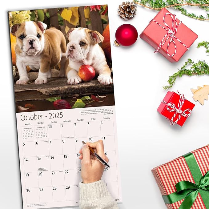 RED EMBER Bulldog Puppies 2025 Wall Calendar 12 Month | 12" x 24" Open | Thick & Sturdy Paper | Giftable | Calendar 2025