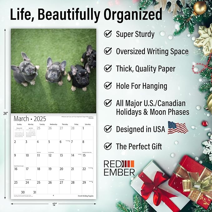 RED EMBER French Bulldog Puppies 2025 Wall Calendar 12 Month | 12" x 24" Open | Thick & Sturdy Paper | Giftable | Calendar 2025