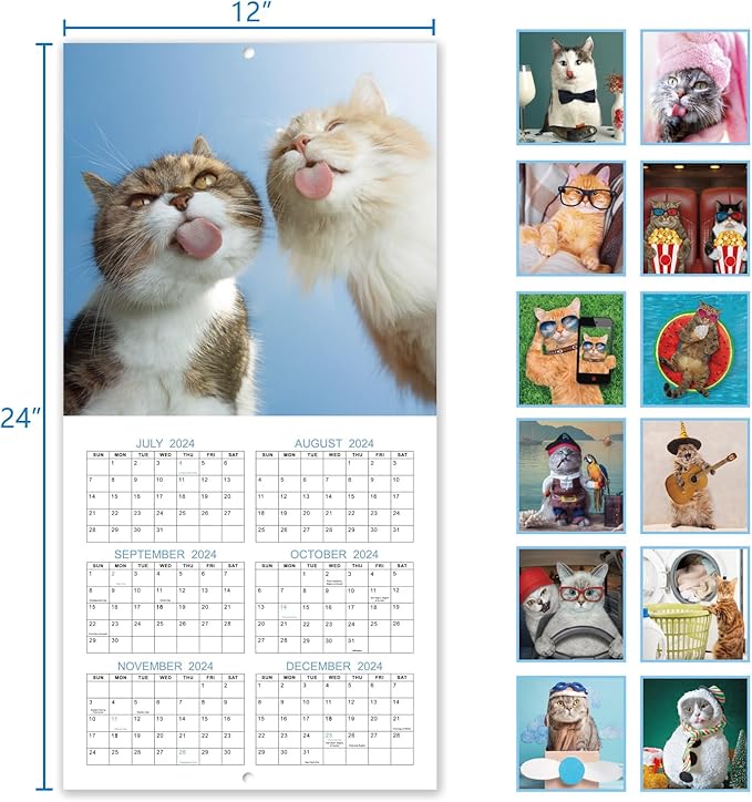 2025 Wall Calendar - January 2025 - December 2025, Funny Cat Calendar 2025, Wall Calendar Gag Gift, Funny Cat Memes Pics, 12'' x 24'' (Open), Funny Cat Calendar, Unruled Block, Hanging Hole, Holidays