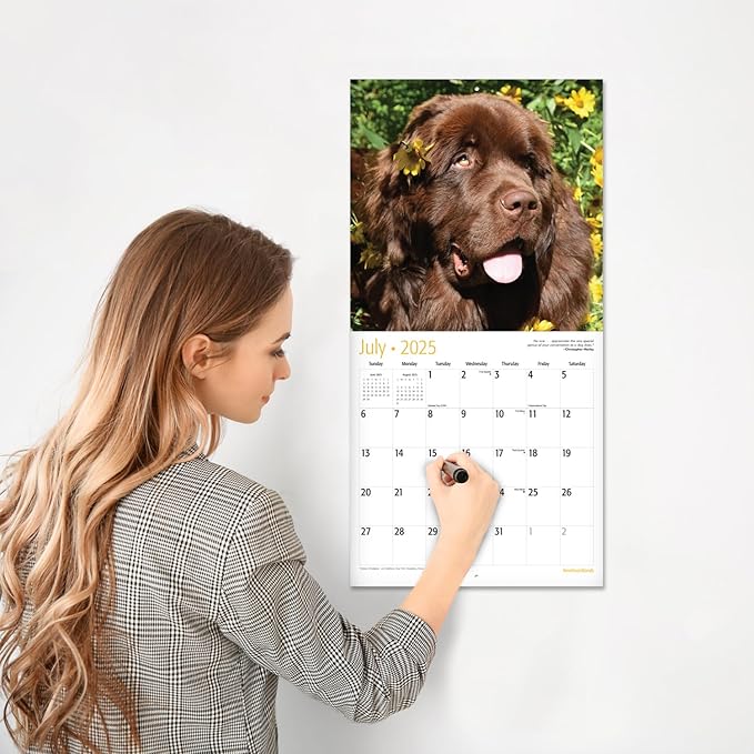 RED EMBER Newfoundlands 2025 Wall Calendar 12 Month | 12" x 24" Open | Thick & Sturdy Paper | Giftable | Calendar 2025