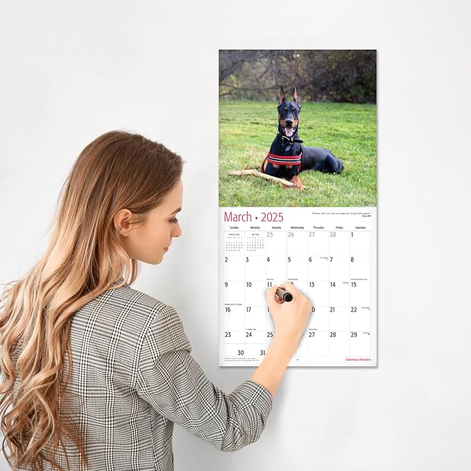 RED EMBER Doberman Pinschers 2025 Wall Calendar 12 Month | 12" x 24" Open | Thick & Sturdy Paper | Giftable | Calendar 2025