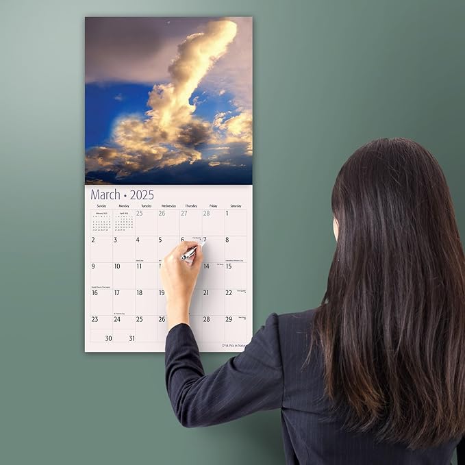 MICASA D'ck Pics in Nature 2025 Wall Calendar 12 Month Funny Secret Dirty Santa White Elephant Yankee Swap Gag Gift | 12" x 24" Open | Thick & Sturdy Paper | Giftable | Calendar 2025