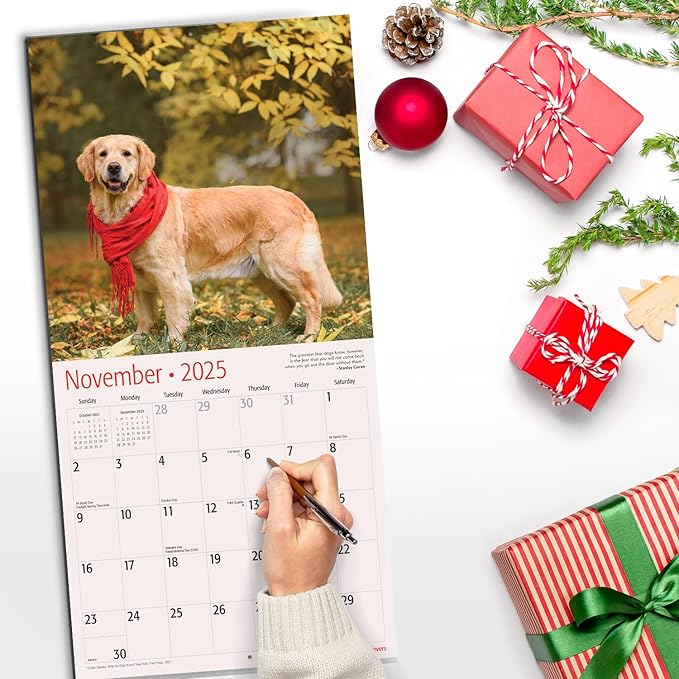 RED EMBER Select - Golden Retrievers 2025 Wall Calendar 12 Month | 12" x 24" Open | Thick & Sturdy Paper | Giftable | Calendar 2025