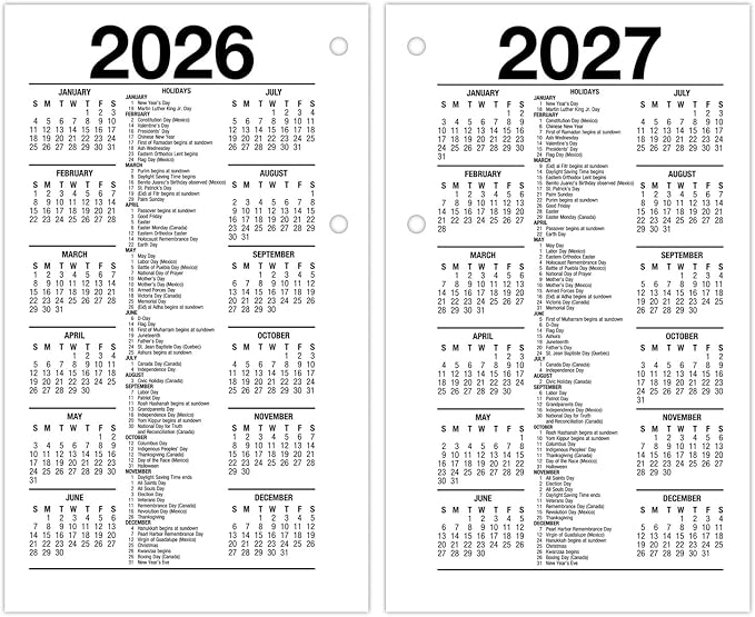 AT-A-GLANCE 2025 Desk Calendar Refill, Daily, 3-1/2" x 6", Standard, Loose-Leaf (E7175025)