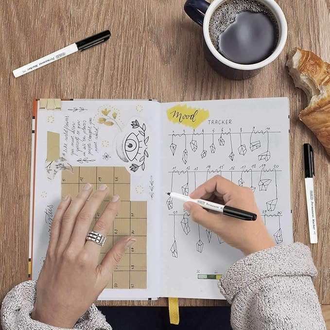 Shuttle Art Permanent Marker, 30 Pack Ultra Fine Point Black Permanent Marker set, Works on Plastic,Wood,Stone,Metal and Glass for Doodling, Marking