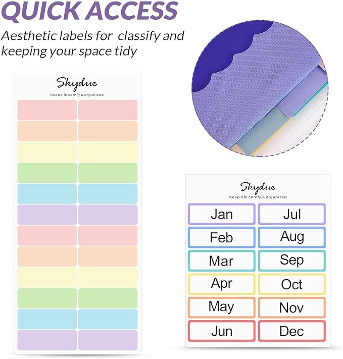 SKYDUE Accordion File Organizer, 12 Pockets File Folders, Letter Size Expanding File Folder with Colored Tabs and Expandable Cover (Transparent)
